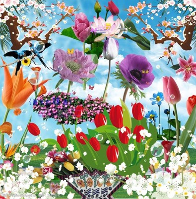 高清鮮花花朵花卉圖片素材 自然之美的視覺(jué)盛宴